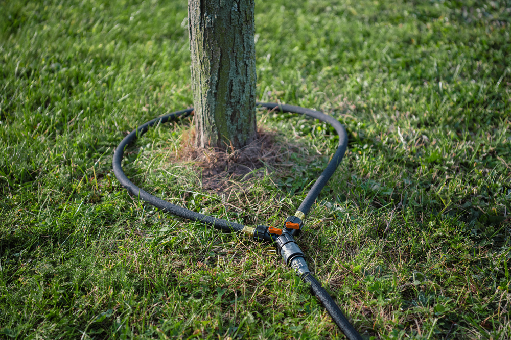 Bradas druppelslang voor bomen en struiken