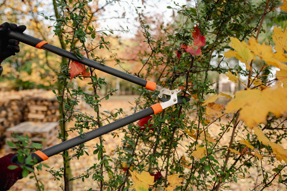 Close-up van anti-slip handgreep