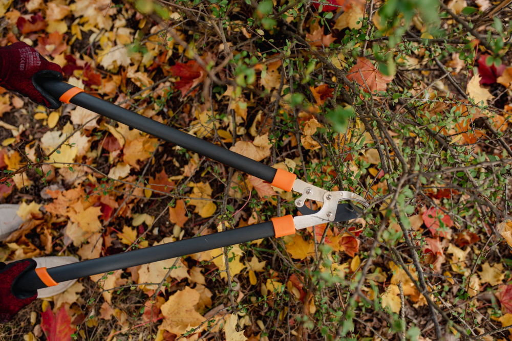 Bradas Snoeischaar voor takken in gebruik