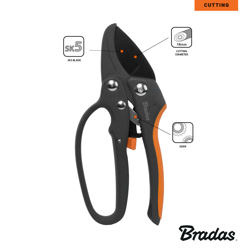 Snoeischaar in gebruik bij bloemknippen