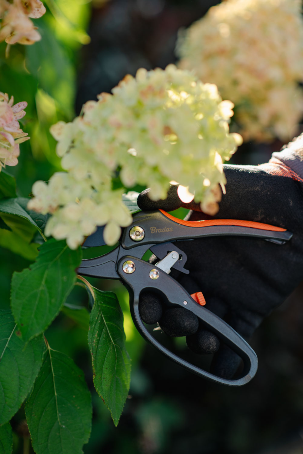 Bradas snoeischaar met veiligheidsvergrendeling