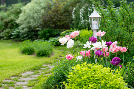 Welke tyleenbuizen zijn het beste geschikt voor tuinirrigatie?