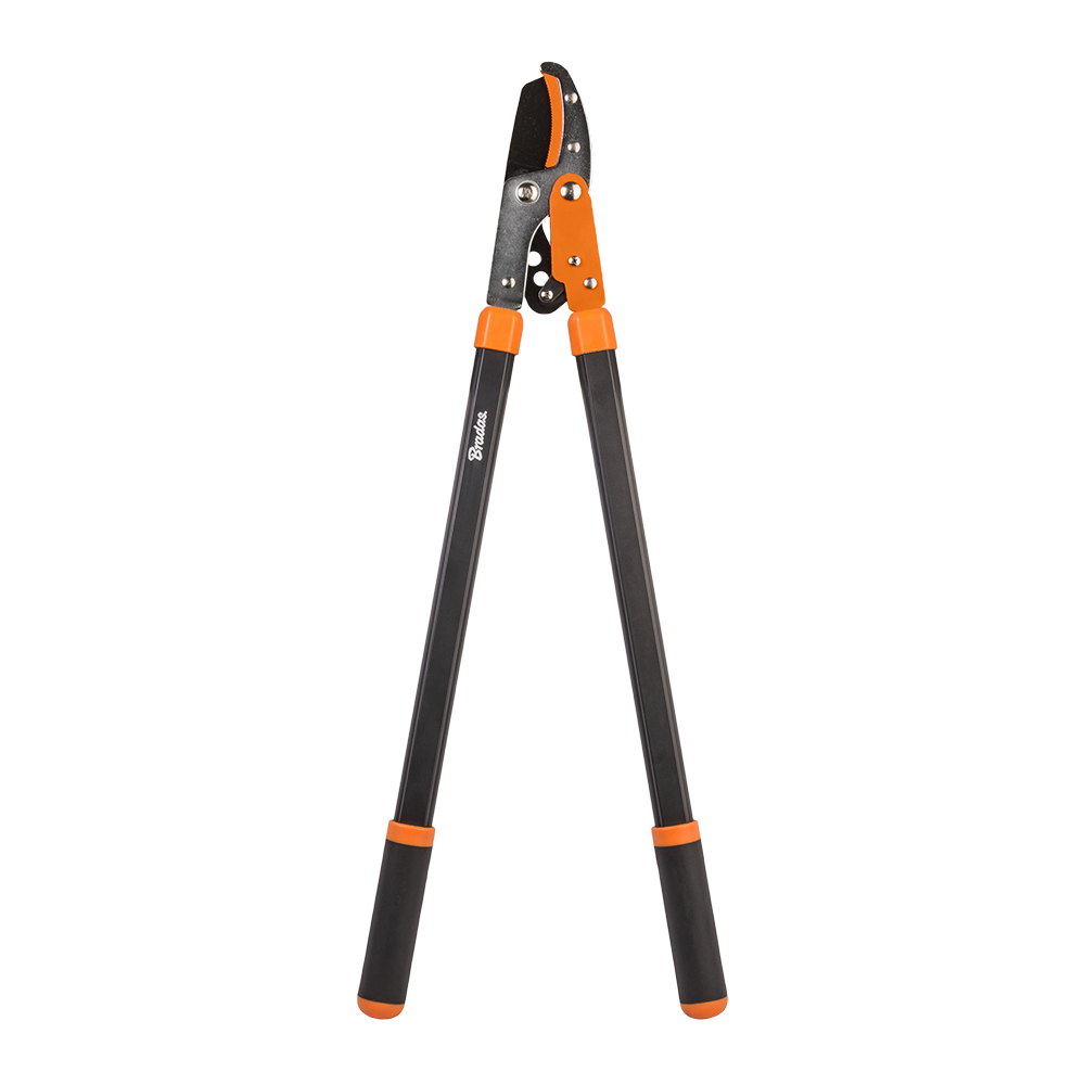Bradas Tandwiel Takkenschaar Ø 50mm